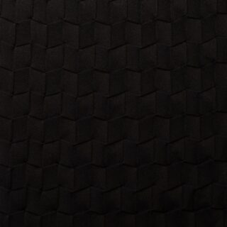 TRILL-02